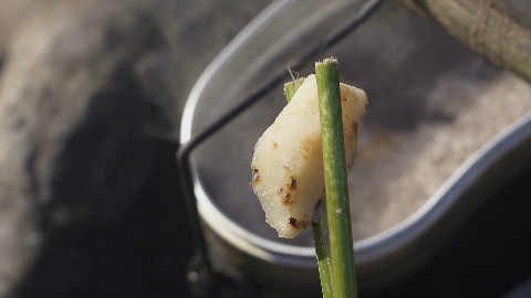 山上挖到的野味,不但是祛湿解毒的良药,炖排骨汤也好喝极了